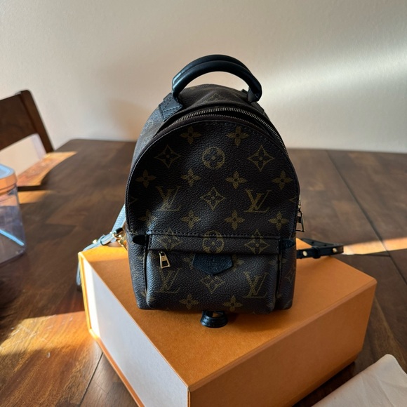 Louis Vuitton Palm Springs PM - Picture 3 of 15